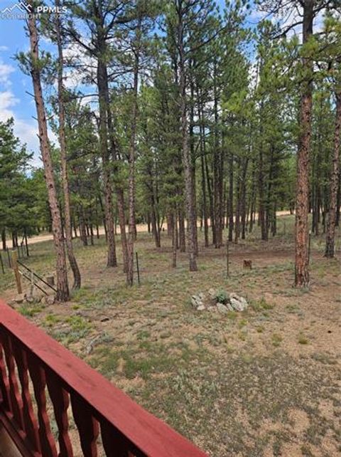 Tiny photo for 480 Blue Mountain Drive, Florissant, CO 80816 (MLS # 5897560)
