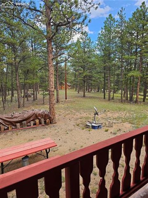 Tiny photo for 480 Blue Mountain Drive, Florissant, CO 80816 (MLS # 5897560)