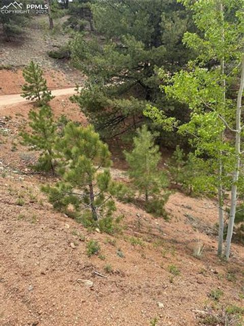 Photo of 1600 Pikes Peak Drive, Divide, CO 80814 (MLS # 2519613)