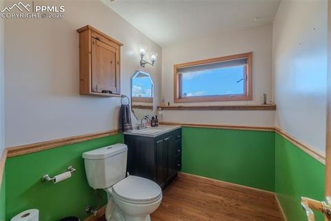 Tiny photo for 18 Sir Richard Drive, Divide, CO 80814 (MLS # 9811527)