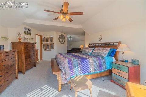 Tiny photo for 18 Sir Richard Drive, Divide, CO 80814 (MLS # 9811527)