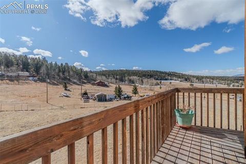 Tiny photo for 18 Sir Richard Drive, Divide, CO 80814 (MLS # 9811527)
