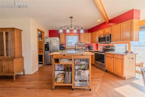 Tiny photo for 18 Sir Richard Drive, Divide, CO 80814 (MLS # 9811527)