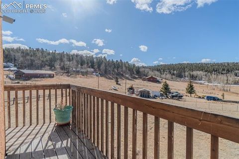Tiny photo for 18 Sir Richard Drive, Divide, CO 80814 (MLS # 9811527)