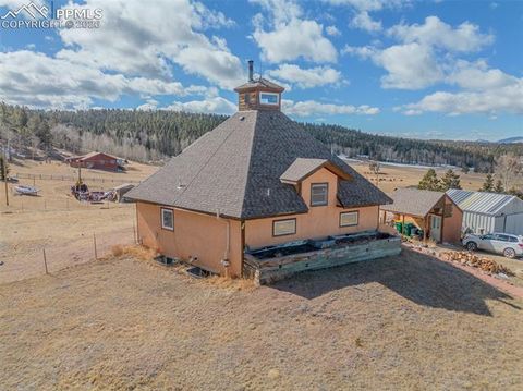 Tiny photo for 18 Sir Richard Drive, Divide, CO 80814 (MLS # 9811527)