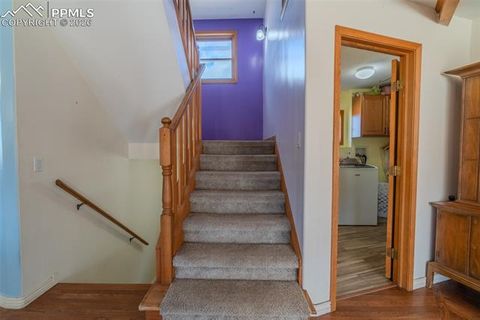 Tiny photo for 18 Sir Richard Drive, Divide, CO 80814 (MLS # 9811527)