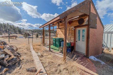 Tiny photo for 18 Sir Richard Drive, Divide, CO 80814 (MLS # 9811527)