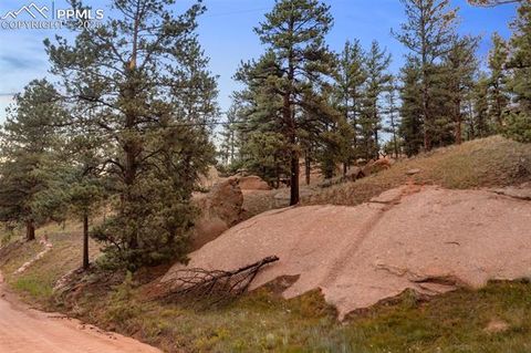 Tiny photo for 117 Reed Drive, Florissant, CO 80816 (MLS # 6392703)