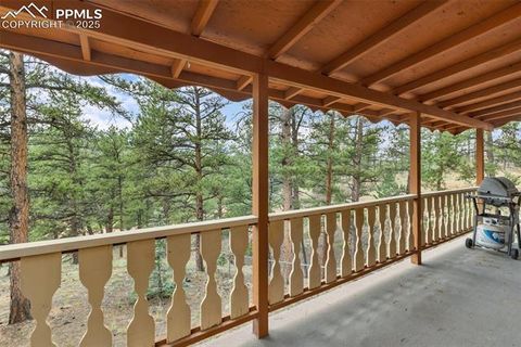 Tiny photo for 117 Reed Drive, Florissant, CO 80816 (MLS # 6392703)