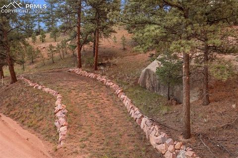 Tiny photo for 117 Reed Drive, Florissant, CO 80816 (MLS # 6392703)