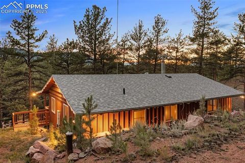 Tiny photo for 117 Reed Drive, Florissant, CO 80816 (MLS # 6392703)