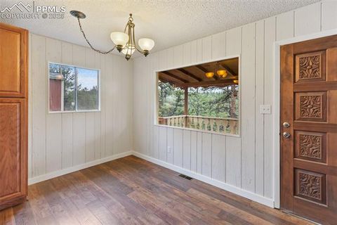 Tiny photo for 117 Reed Drive, Florissant, CO 80816 (MLS # 6392703)