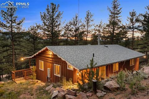Photo of 117 Reed Drive, Florissant, CO 80816 (MLS # 6392703)
