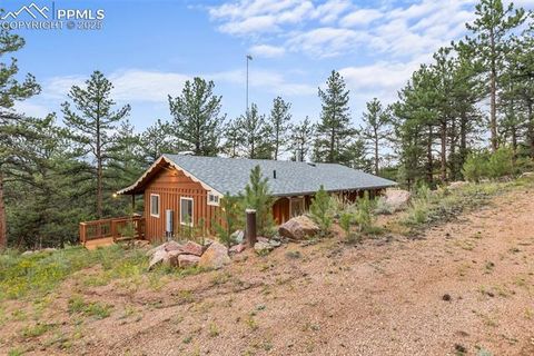 Tiny photo for 117 Reed Drive, Florissant, CO 80816 (MLS # 6392703)