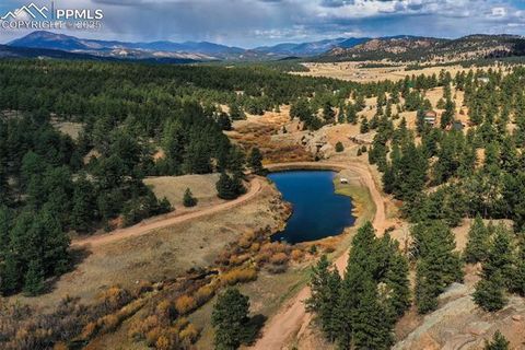Tiny photo for 117 Reed Drive, Florissant, CO 80816 (MLS # 6392703)