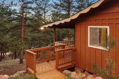 Tiny photo for 117 Reed Drive, Florissant, CO 80816 (MLS # 6392703)