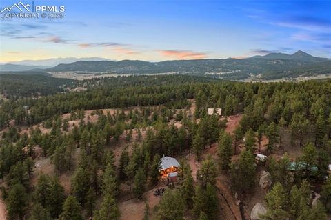 Tiny photo for 117 Reed Drive, Florissant, CO 80816 (MLS # 6392703)