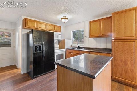 Tiny photo for 117 Reed Drive, Florissant, CO 80816 (MLS # 6392703)