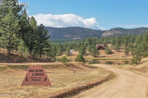 Tiny photo for 117 Reed Drive, Florissant, CO 80816 (MLS # 6392703)