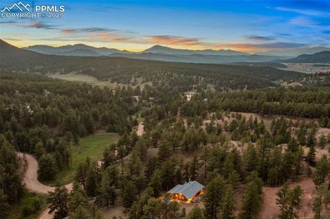 Tiny photo for 117 Reed Drive, Florissant, CO 80816 (MLS # 6392703)
