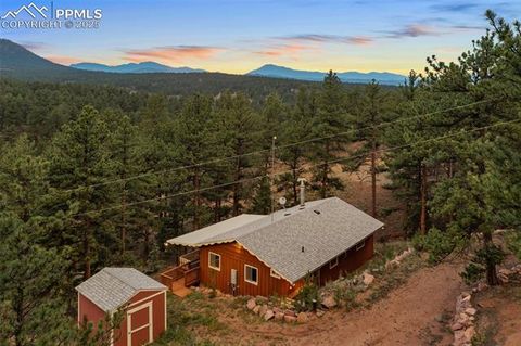 Tiny photo for 117 Reed Drive, Florissant, CO 80816 (MLS # 6392703)