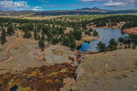 Tiny photo for 117 Reed Drive, Florissant, CO 80816 (MLS # 6392703)