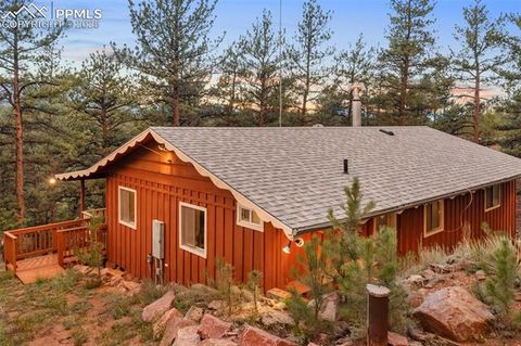 Tiny photo for 117 Reed Drive, Florissant, CO 80816 (MLS # 6392703)