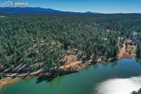 Tiny photo for 117 Reed Drive, Florissant, CO 80816 (MLS # 6392703)