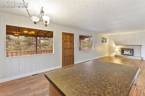 Tiny photo for 117 Reed Drive, Florissant, CO 80816 (MLS # 6392703)