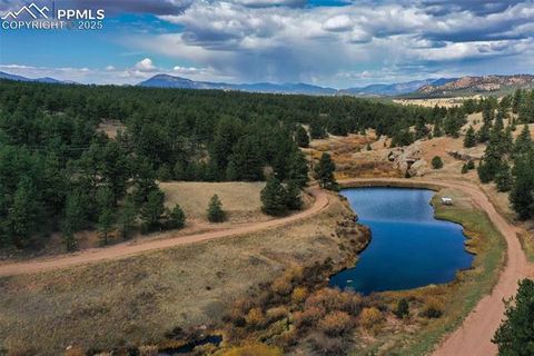 Tiny photo for 117 Reed Drive, Florissant, CO 80816 (MLS # 6392703)