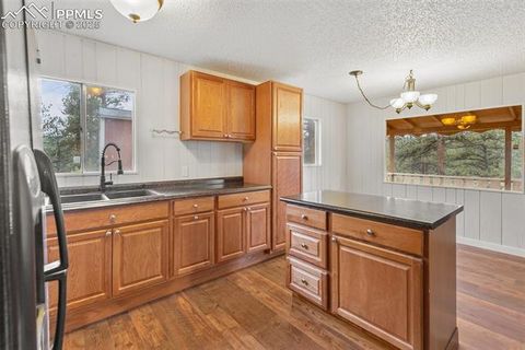 Tiny photo for 117 Reed Drive, Florissant, CO 80816 (MLS # 6392703)