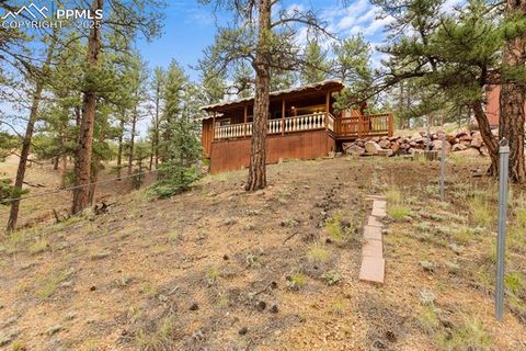 Tiny photo for 117 Reed Drive, Florissant, CO 80816 (MLS # 6392703)