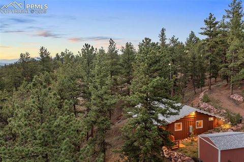 Tiny photo for 117 Reed Drive, Florissant, CO 80816 (MLS # 6392703)
