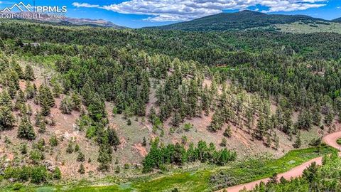 Photo of 626 Little Topsey Drive, Cripple Creek, CO 80813 (MLS # 8151725)