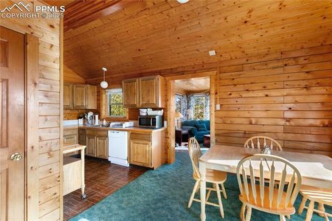 Tiny photo for 730 Cheyenne Creek Drive, Lake George, CO 80827 (MLS # 5808407)