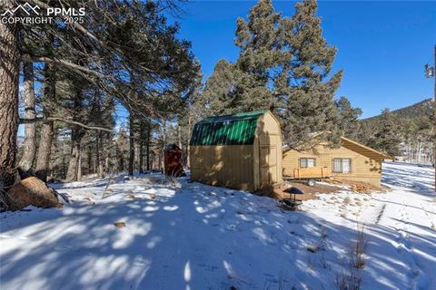 Tiny photo for 730 Cheyenne Creek Drive, Lake George, CO 80827 (MLS # 5808407)