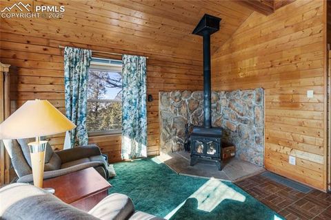 Tiny photo for 730 Cheyenne Creek Drive, Lake George, CO 80827 (MLS # 5808407)