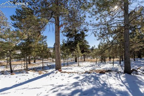 Tiny photo for 730 Cheyenne Creek Drive, Lake George, CO 80827 (MLS # 5808407)