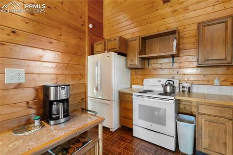 Tiny photo for 730 Cheyenne Creek Drive, Lake George, CO 80827 (MLS # 5808407)