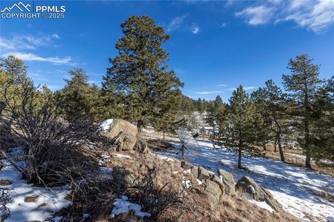 Tiny photo for 730 Cheyenne Creek Drive, Lake George, CO 80827 (MLS # 5808407)