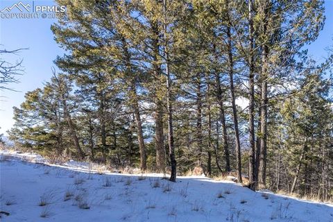 Tiny photo for 730 Cheyenne Creek Drive, Lake George, CO 80827 (MLS # 5808407)