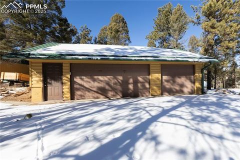 Photo of 730 Cheyenne Creek Drive, Lake George, CO 80827 (MLS # 5808407)