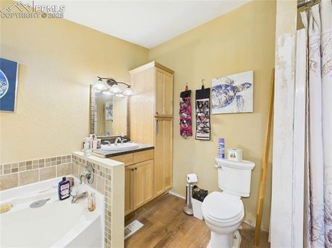 Tiny photo for 206 Lucille Street, Avondale, CO 81022 (MLS # 8592855)