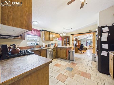 Tiny photo for 206 Lucille Street, Avondale, CO 81022 (MLS # 8592855)