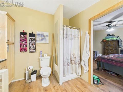 Tiny photo for 206 Lucille Street, Avondale, CO 81022 (MLS # 8592855)