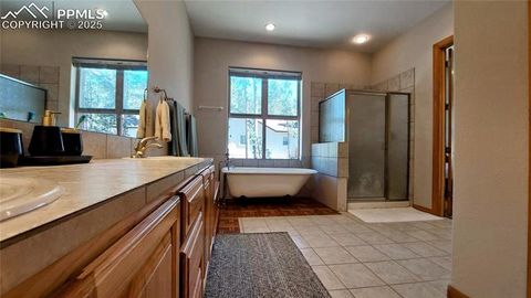 Tiny photo for 1020 Parkway Lane, Woodland Park, CO 80863 (MLS # 7404956)