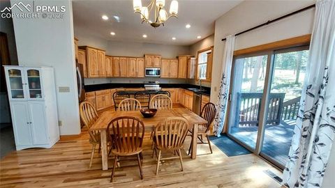 Tiny photo for 1020 Parkway Lane, Woodland Park, CO 80863 (MLS # 7404956)