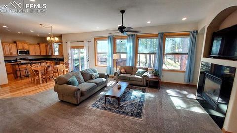 Tiny photo for 1020 Parkway Lane, Woodland Park, CO 80863 (MLS # 7404956)