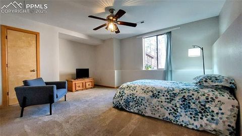 Tiny photo for 1020 Parkway Lane, Woodland Park, CO 80863 (MLS # 7404956)