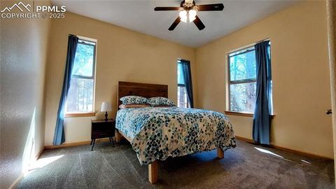 Photo of 1020 Parkway Lane, Woodland Park, CO 80863 (MLS # 7404956)